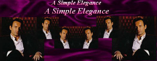 Maxim Banner