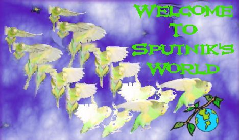 Sputnik Banner