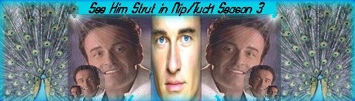 Strut Banner